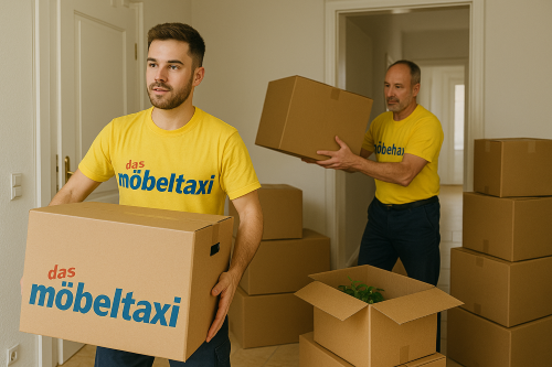 Professionelle Transporte in Aachen
